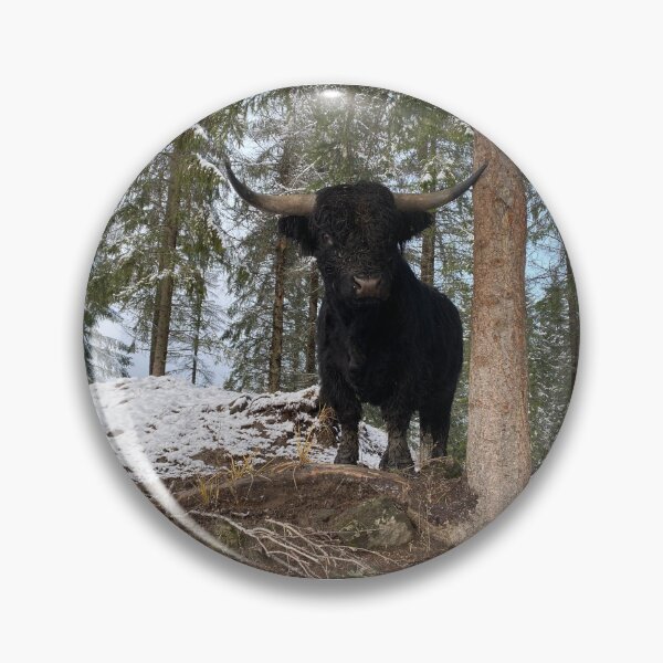 Item preview, Scottish Highland Cattle Bull 4176 designed and sold by SaarelaHighland.