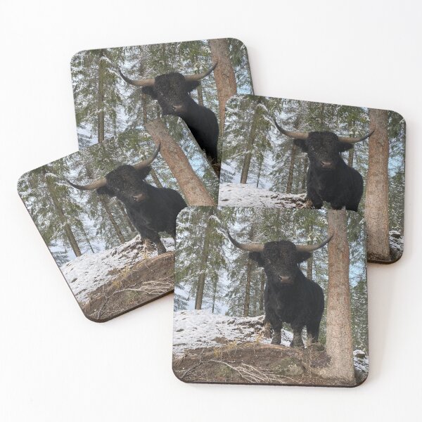 Item preview, Scottish Highland Cattle Bull 4176 designed and sold by SaarelaHighland.