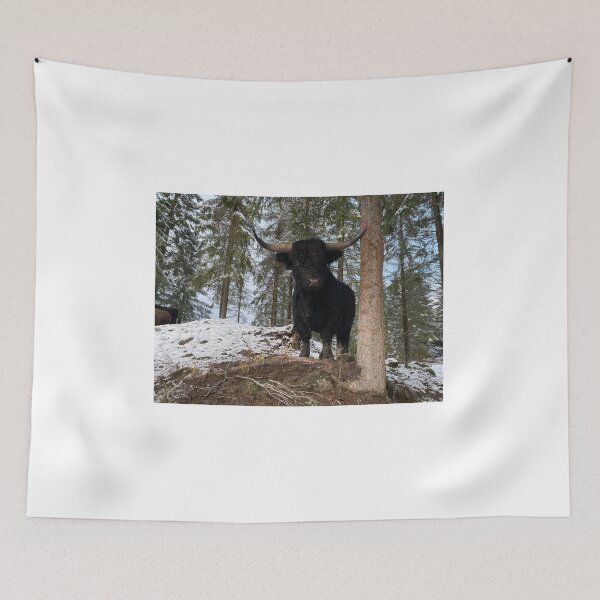 Item preview, Scottish Highland Cattle Bull 4176 designed and sold by SaarelaHighland.