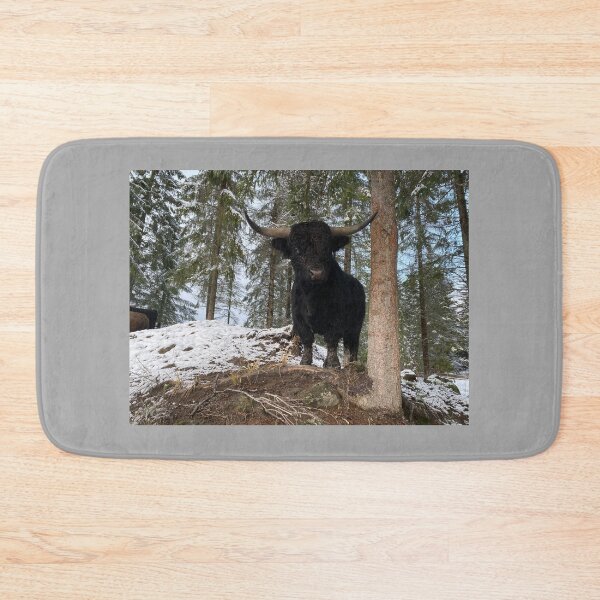 Item preview, Scottish Highland Cattle Bull 4176 designed and sold by SaarelaHighland.