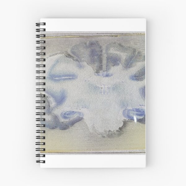 Item preview, Monkey brain slice microscope slide  designed and sold by camillecurious.