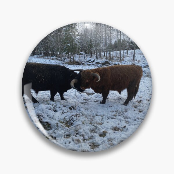 Artikelvorschau, Scottish Highland Cattle Bulls 4178 entworfen und verkauft von SaarelaHighland.