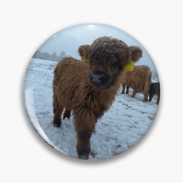 Artikelvorschau, Scottish Highland Cattle Calf 4180 entworfen und verkauft von SaarelaHighland.