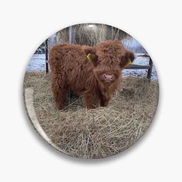 Artikelvorschau, Scottish Highland Cattle Calf 4181 entworfen und verkauft von SaarelaHighland.