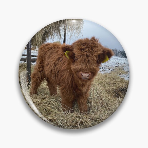 Artikelvorschau, Scottish Highland Cattle Calf 4182 entworfen und verkauft von SaarelaHighland.