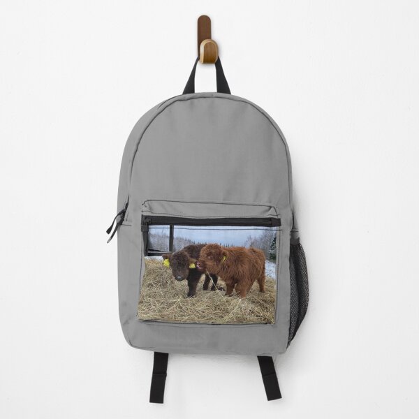Item preview, Scottish Highland Cattle Calves 4183 designed and sold by SaarelaHighland.