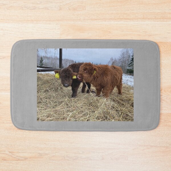 Item preview, Scottish Highland Cattle Calves 4183 designed and sold by SaarelaHighland.