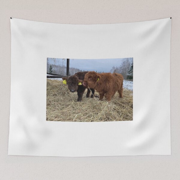 Item preview, Scottish Highland Cattle Calves 4183 designed and sold by SaarelaHighland.