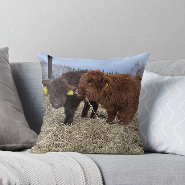 Aperçu de l'œuvre Scottish Highland Cattle Calves 4183 créée et vendue par SaarelaHighland.