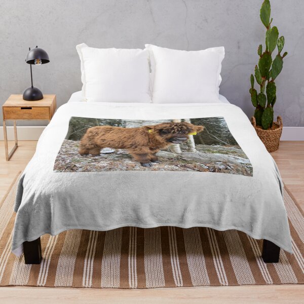 Item preview, Scottish Highland Cattle Calf 4184 designed and sold by SaarelaHighland.