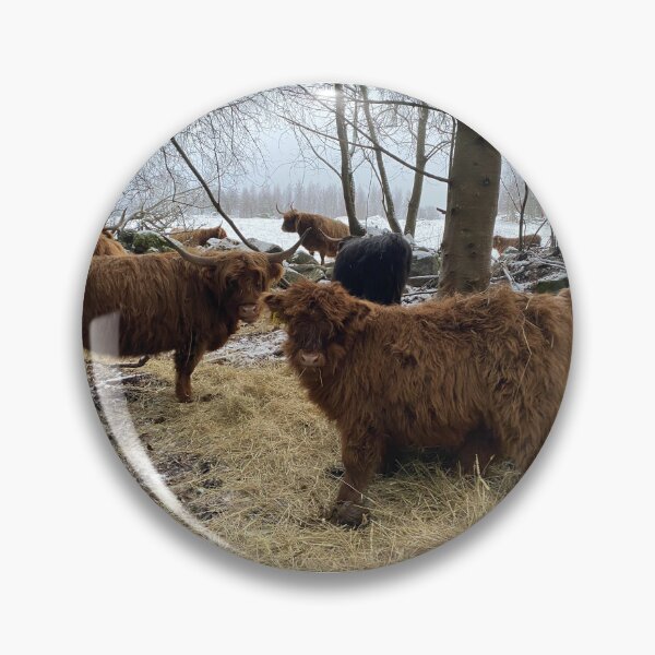 Artikelvorschau, Scottish Highland Cattle Calf 4185 entworfen und verkauft von SaarelaHighland.