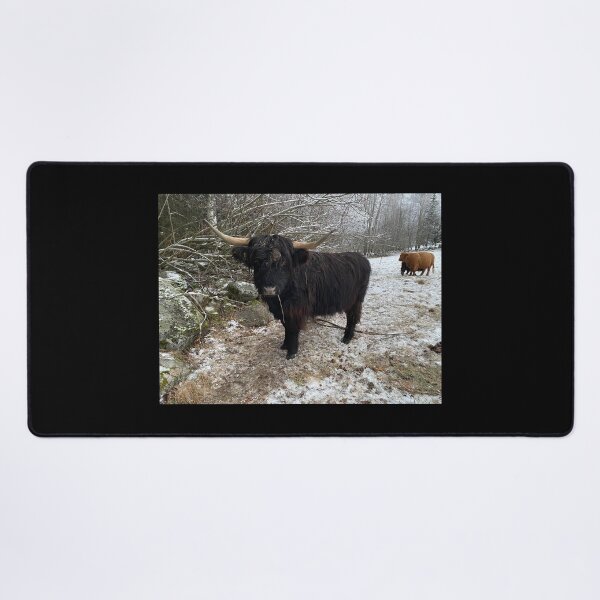 Item preview, Scottish Highland Cattle Cow 4186 designed and sold by SaarelaHighland.