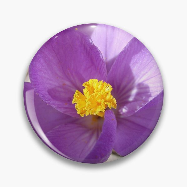 Item preview, Flower in the Sun designed and sold by TTDean.