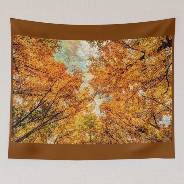 Item preview, Fall Matrix One WALK IN THE AUTUMN FOREST designed and sold by LeNumerimagiste.
