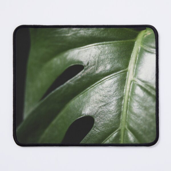 Item preview, plant study | monstera #1 designed and sold by signahelen.