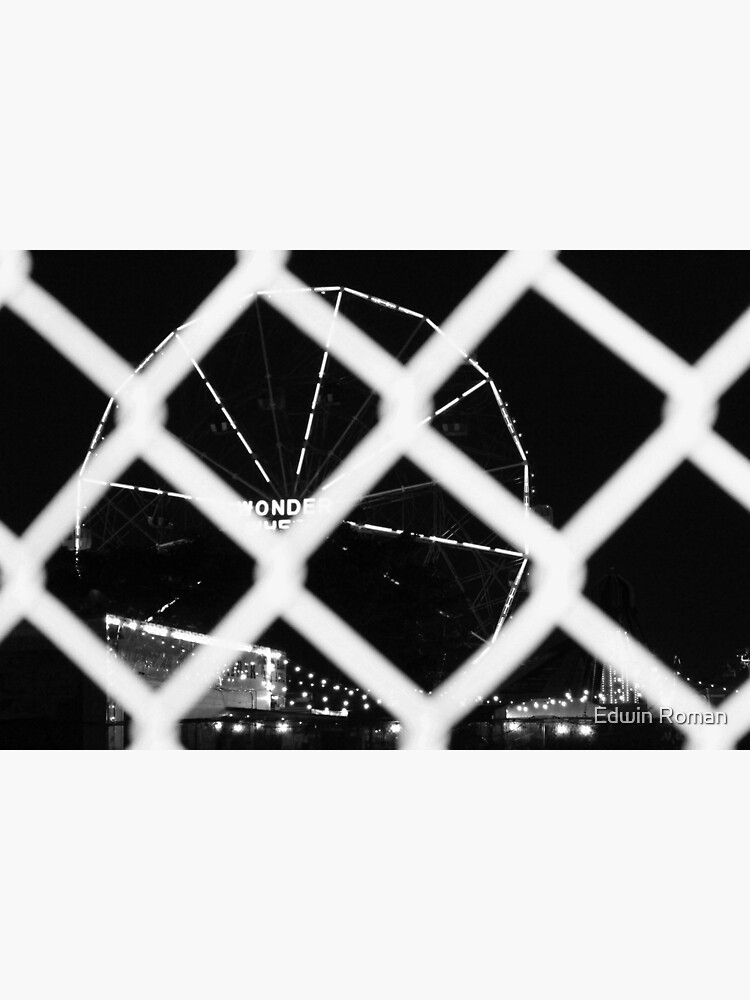 Fenced Wonder by EdwinRomanArt