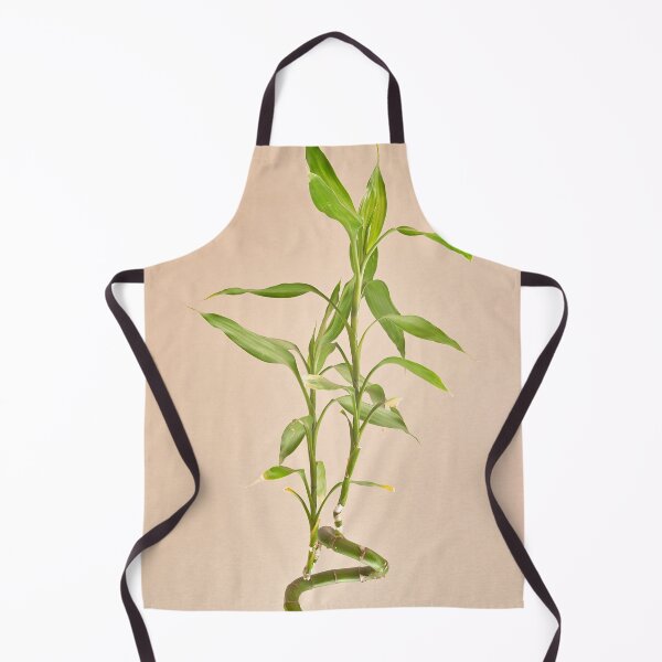 Item preview, Dracaena sanderiana designed and sold by IgorKovalenko.