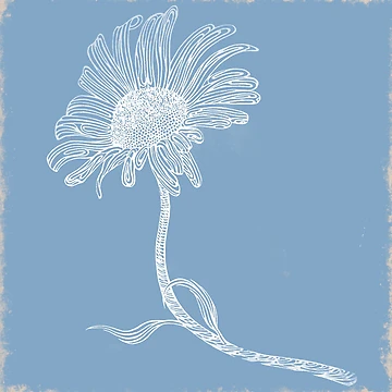 Artwork thumbnail, Rustic White Daisy by RuthHartes
