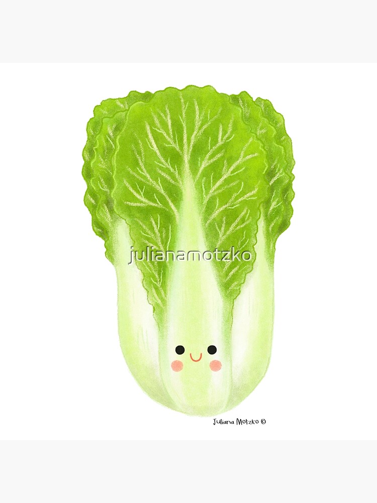 "Napa Cabbage" Art Print for Sale by julianamotzko Redbubble