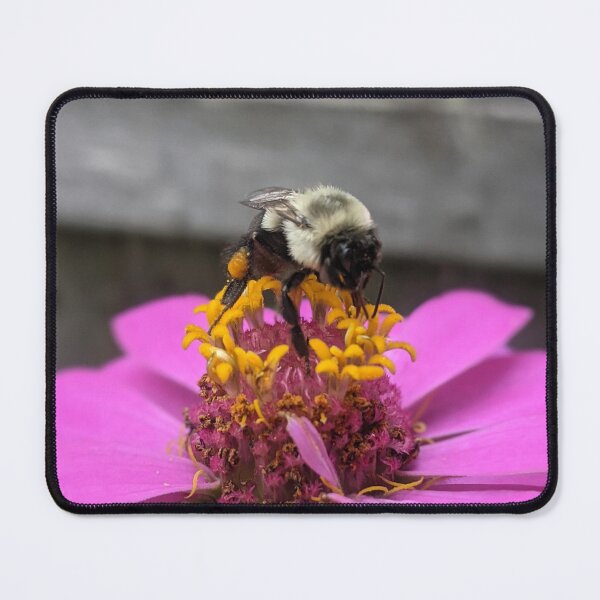 Item preview, Spring Provides designed and sold by RussellsArtMart.