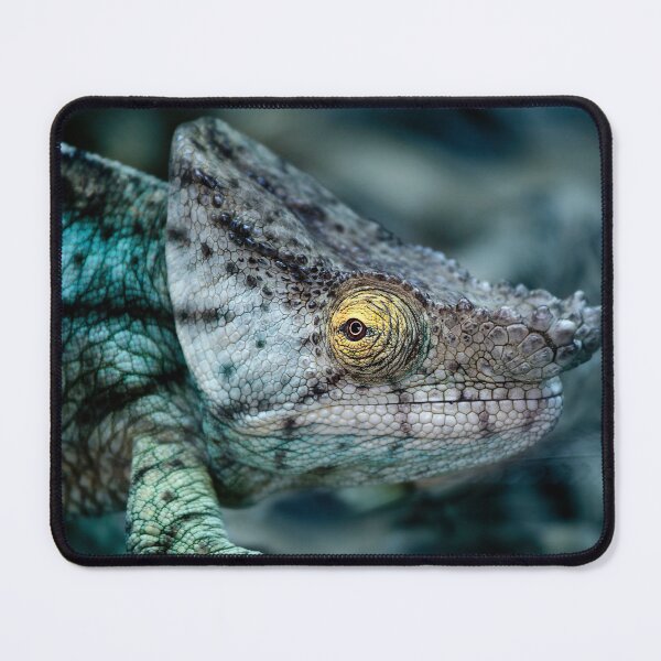 Item preview, Chameleon Close-Up designed and sold by ernest123.