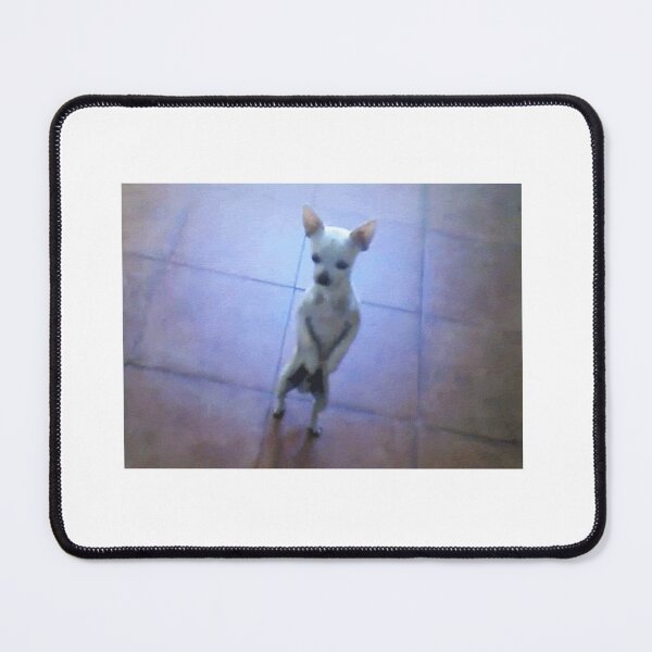 Item preview, Dancing chihuahua designed and sold by daguilon.