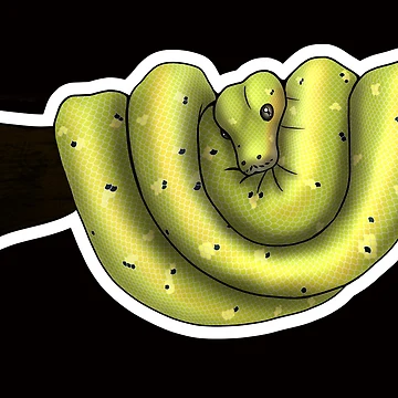 Artwork thumbnail, Green Tree Python High Yellow by Kirin-Riki