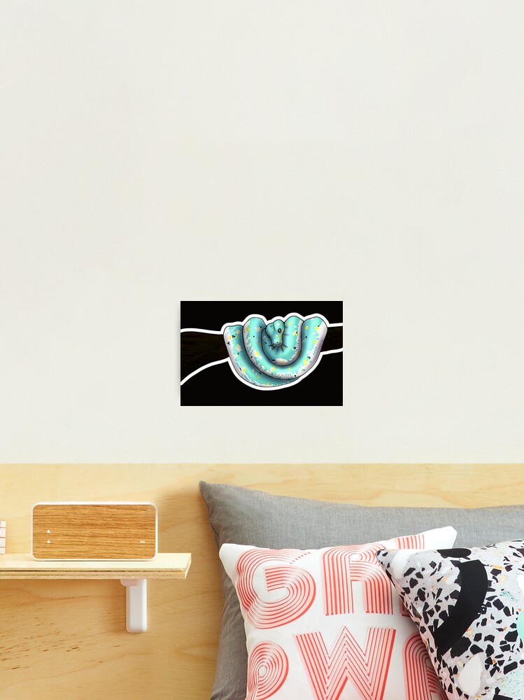 Thumbnail 2 of 3, Photographic Print, Green Tree Python Calico designed and sold by Kirin-Riki.