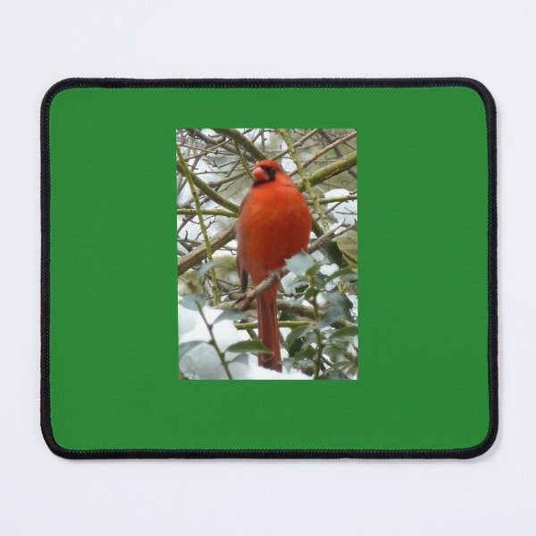 Item preview, Red Cardinal In Winter designed and sold by TechLaughs.