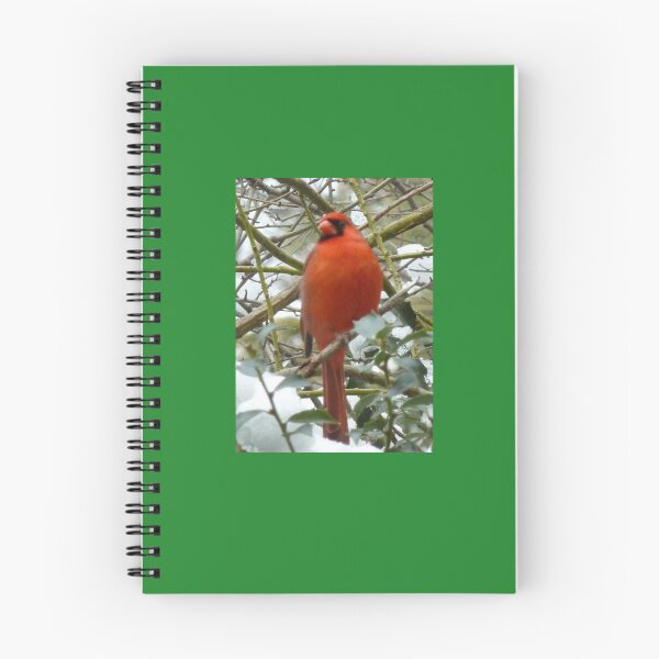 Item preview, Red Cardinal In Winter designed and sold by TechLaughs.