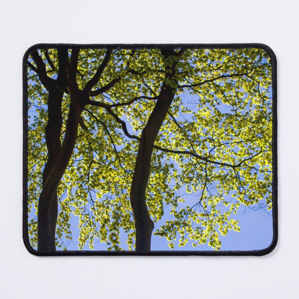 Item preview, Spring Green Beech Tree Leaves designed and sold by FOLK ART FUSION by heidiannemorris.