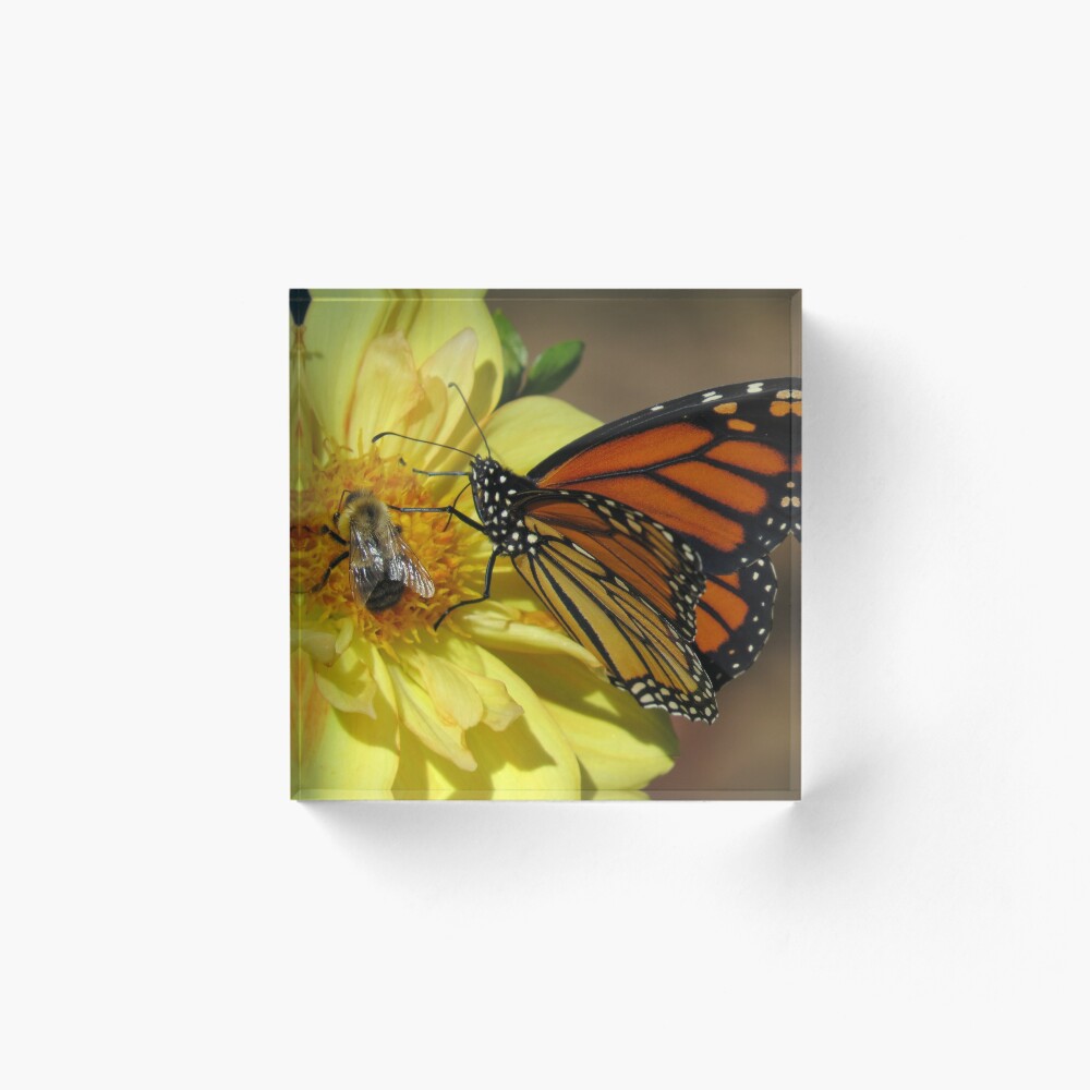 Item preview, Acrylic Block designed and sold by shutterbug2010.