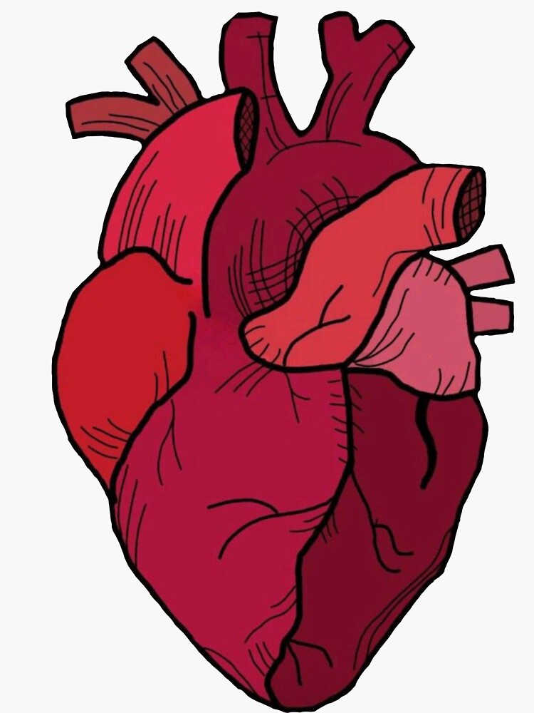 "heart drawing " Sticker for Sale by itsniniii Redbubble