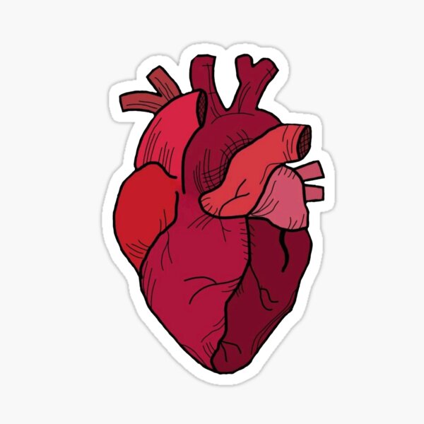 "heart drawing " Sticker for Sale by itsniniii Redbubble