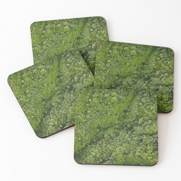 Item preview, Mossy landscape Iceland designed and sold by Fresh-P-Media.