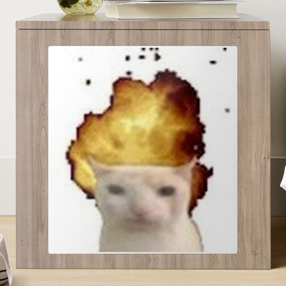 exploding cat meme