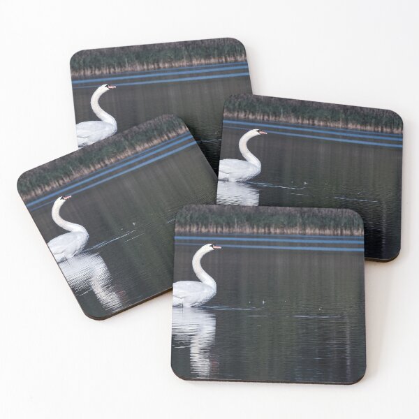 Item preview, Swan on Blairs' Loch designed and sold by Tom McPherson Photography.