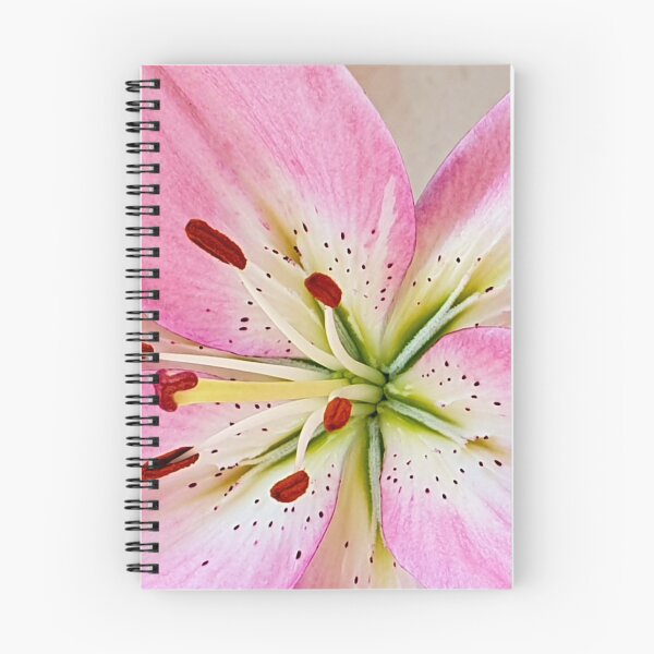 Item preview, Pink lily flower designed and sold by Pixtela ..