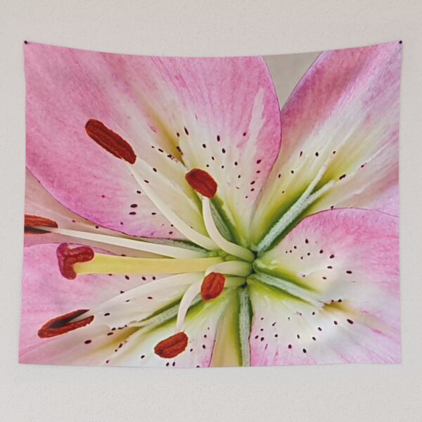 Item preview, Pink lily flower designed and sold by Pixtela ..
