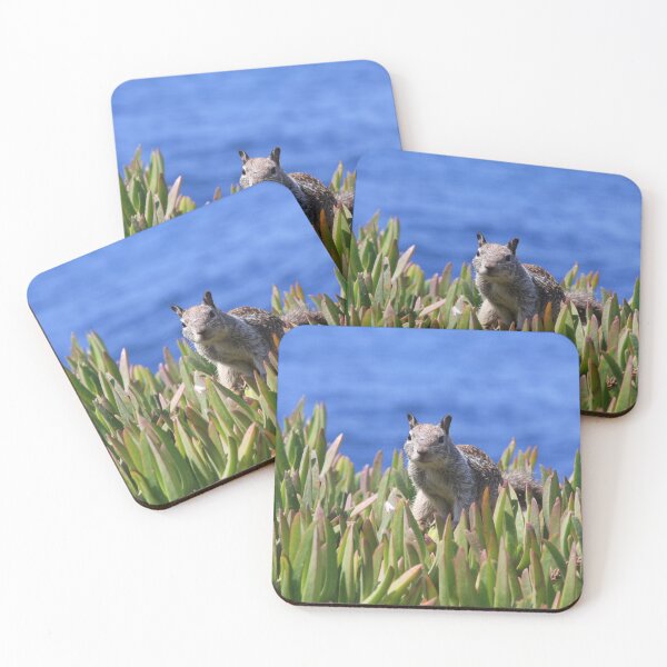 Item preview, Hello! I Am a Seaside Squirrel, Nice to Meet You!  designed and sold by heatherfriedman.