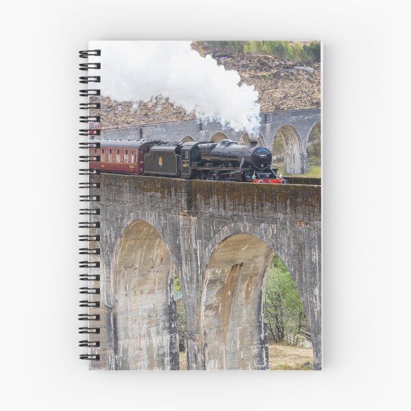 Artikelvorschau, Jacobite Steam Train über das Glenfinnan-Viadukt entworfen und verkauft von ast-photography.