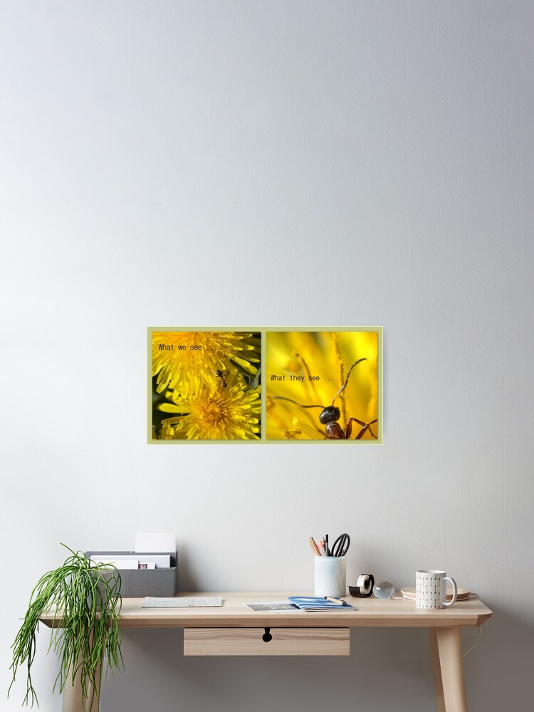 Thumbnail 2 of 3, Poster, PERSPECTIVE designed and sold by livehonestly.