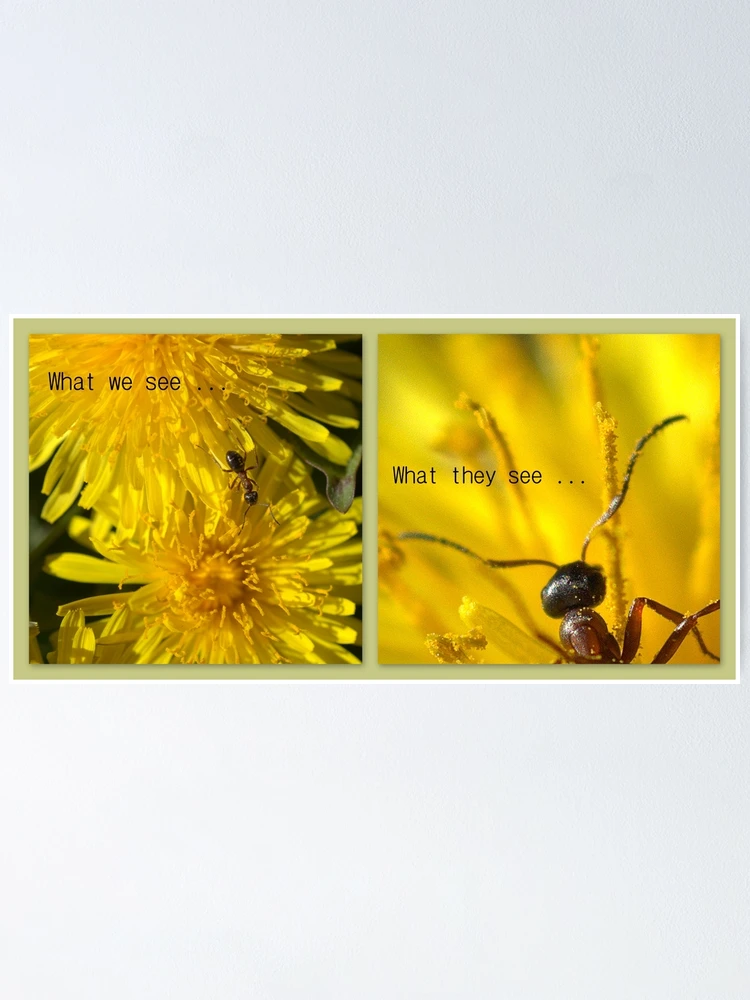 Thumbnail 1 of 3, Poster, PERSPECTIVE designed and sold by Betsy Seeton.