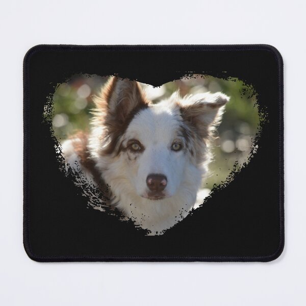 Item preview, amor border collie designed and sold by Whisperingpeaks.