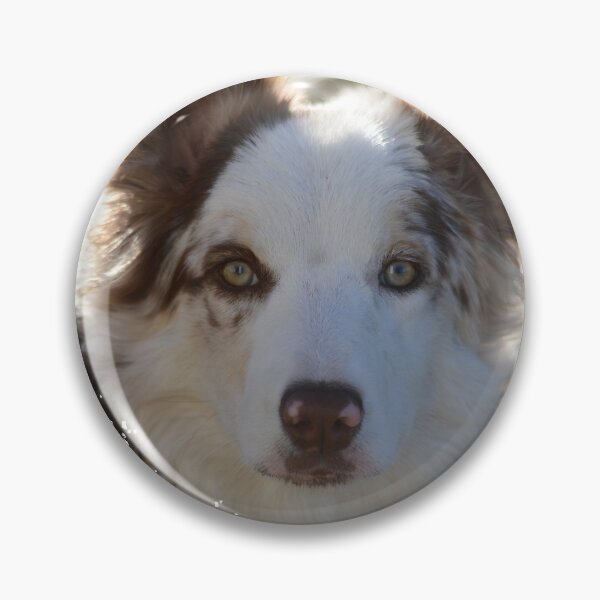 Artikelvorschau, Liebe Border-Collies entworfen und verkauft von Whisperingpeaks.