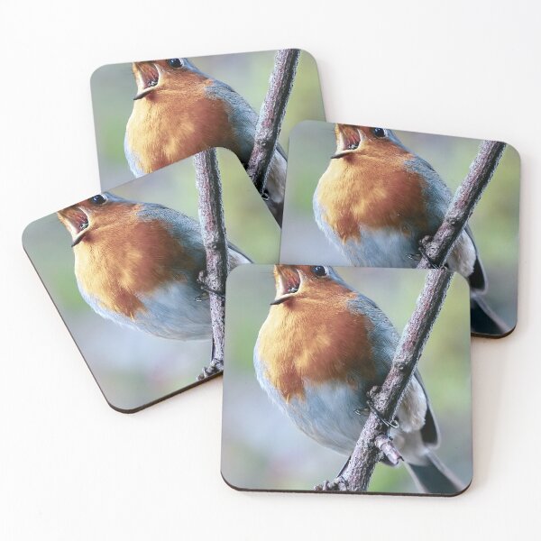 Item preview, Robin Singing designed and sold by Tom McPherson Photography.