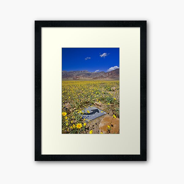 Death Valley Super Bloom This Way Framed Art Print