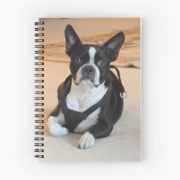 Item preview, Yoda. Boston Terrier designed and sold by Lovemydesigns.