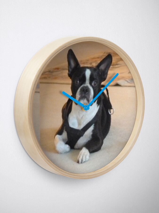 Alternate view of Yoda. Boston Terrier Clock