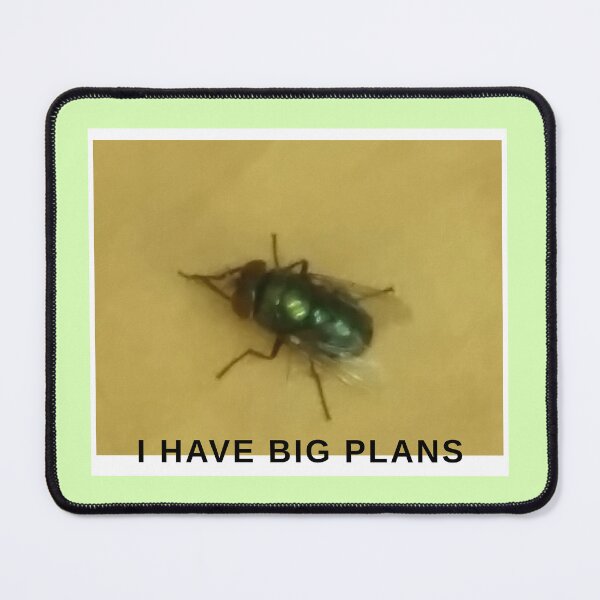 Item preview, I have big plans designed and sold by KerCar.